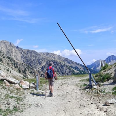 A Walk on the Wildside