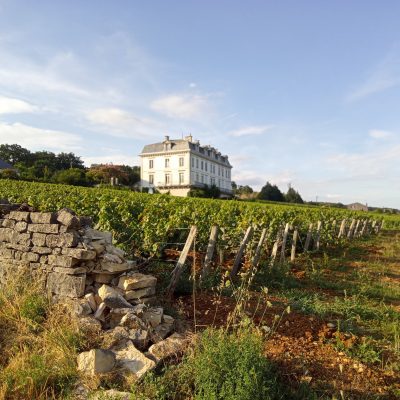 Route des Grands Crus